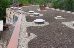 Neubau_ZFH_Lachen_Birkenallee_Diessen_41596_02