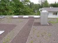 Neubau_EFH_mit_Tiefgarage_Stockdorf_42001_04