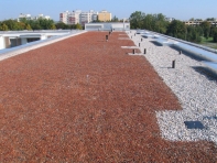 Neubau_Betreutes_Wohnen_Ludwigspark_BT1__Koenigsbrunn_42277_04