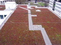 Sanierung_Verwaltungsgebaeude_Barerstr_Muenchen_42410_01