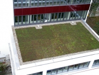 Sanierung_Verwaltungsgebaeude_Barerstr_Muenchen_42410_04